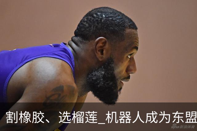 割橡胶、选榴莲 机器人成为东盟市场“新宠” 各国释放明确需求信号